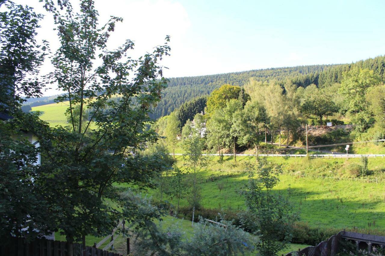 Vila Haus Talblick Schmallenberg Exteriér fotografie