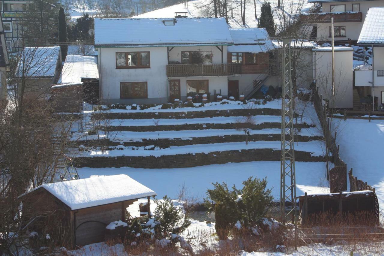 Vila Haus Talblick Schmallenberg Exteriér fotografie